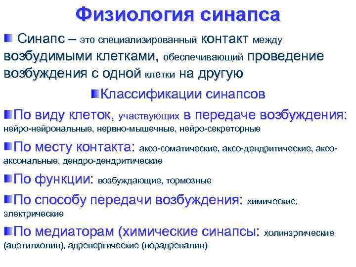 Физиология синапса Синапс – это специализированный контакт между возбудимыми клетками, обеспечивающий проведение возбуждения с