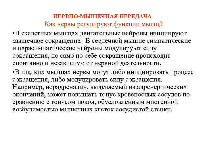 НЕРВНО-МЫШЕЧНАЯ ПЕРЕДАЧА Как нервы регулируют функции мышц? • В скелетных мышцах двигательные нейроны инициируют