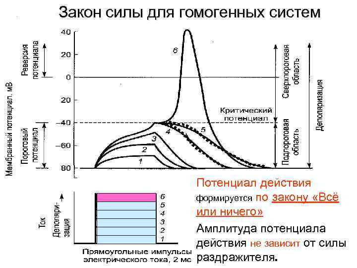 Все или ничего схема