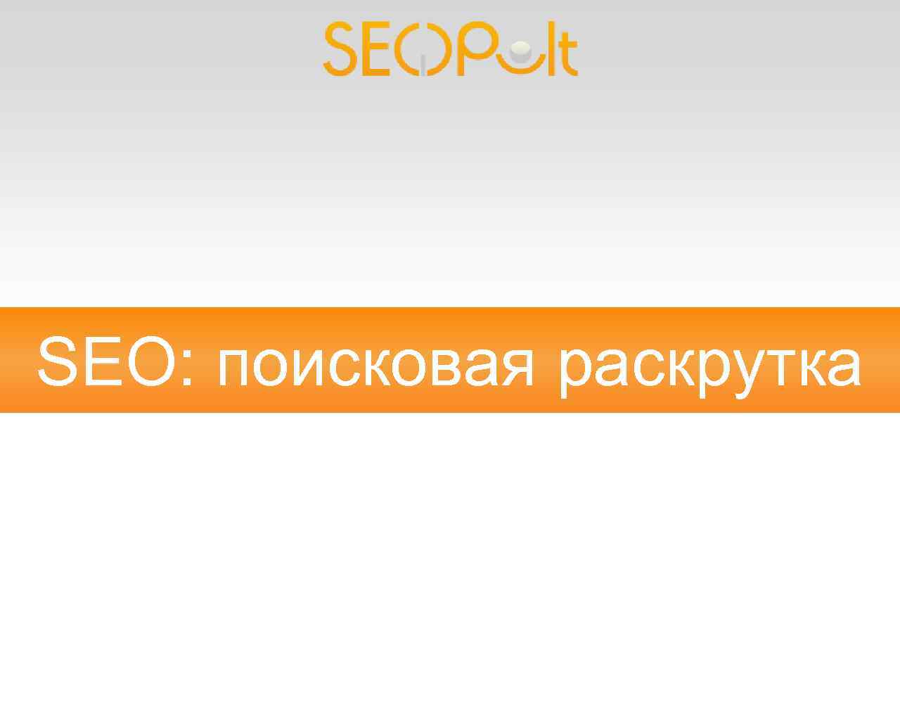 SEO: поисковая раскрутка 