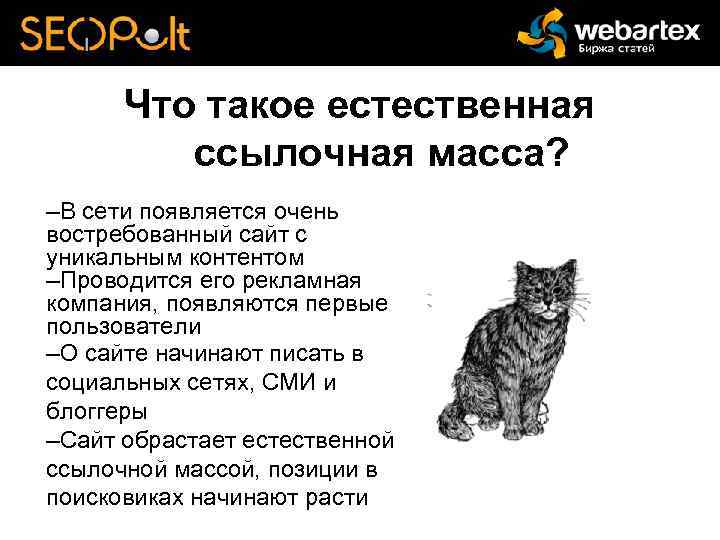 Что такое естественная ссылочная масса? –В сети появляется очень востребованный сайт с уникальным контентом