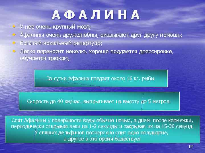  • • АФАЛИНА У нее очень крупный мозг; Афалины очень дружелюбны, оказывают другу