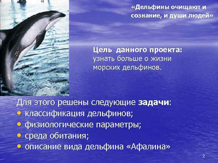  «Дельфины очищают и сознание, и души людей» Цель данного проекта: узнать больше о