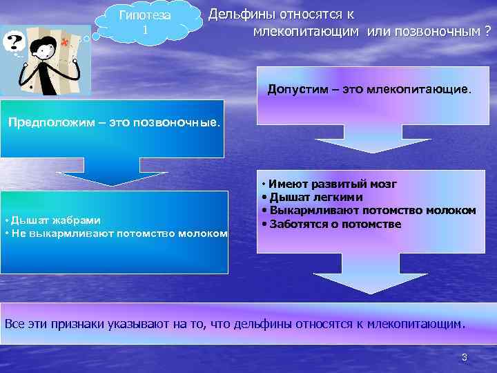 Гипотеза 1 Дельфины относятся к млекопитающим или позвоночным ? Допустим – это млекопитающие. Предположим