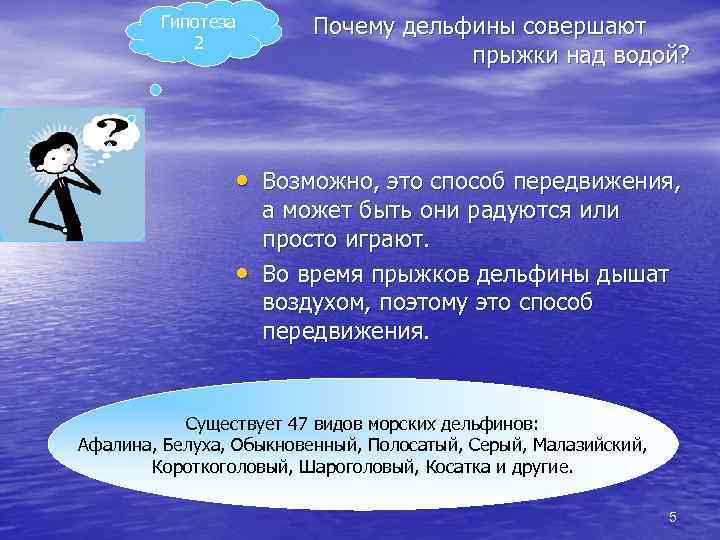 Гипотеза 2 Почему дельфины совершают прыжки над водой? • Возможно, это способ передвижения, •