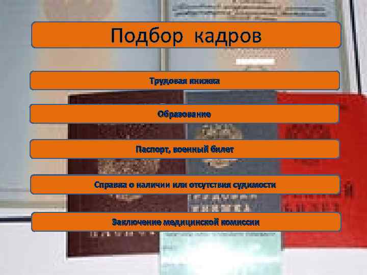 Подбор кадров Трудовая книжка Образование Паспорт, военный билет Справка о наличии или отсутствия судимости