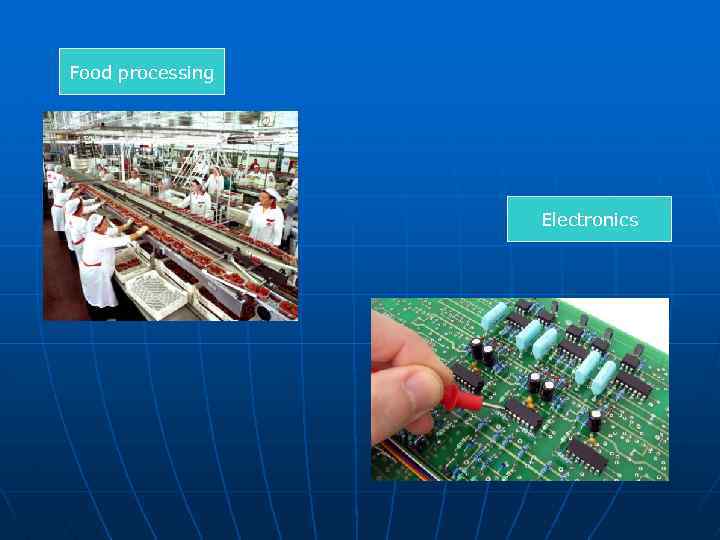 Food processing Electronics 