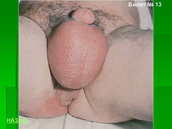 Билет № 13 НАЗАД 