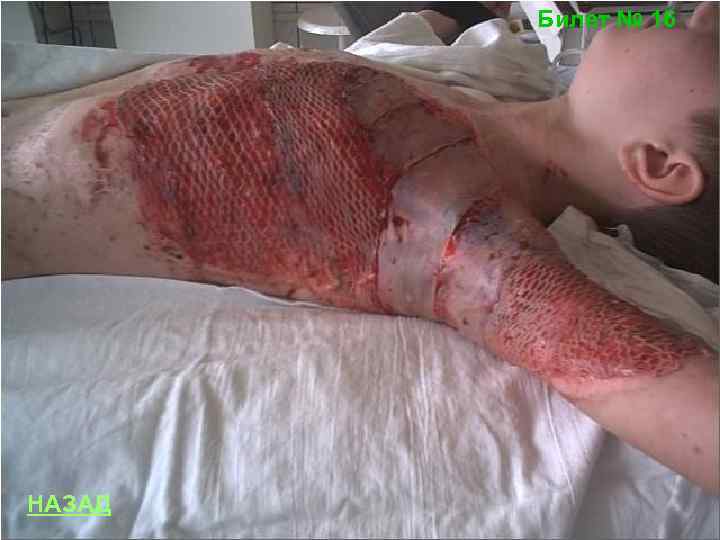 Билет № 16 НАЗАД 