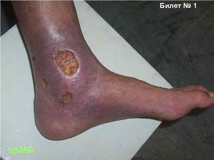 Билет № 1 НАЗАД 