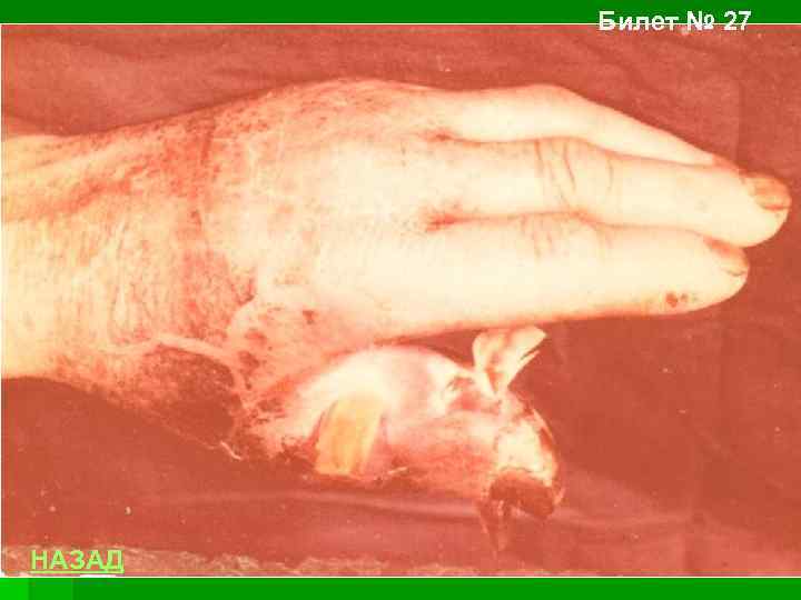 Билет № 27 НАЗАД 