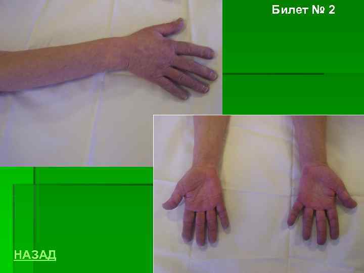 Билет № 2 НАЗАД 
