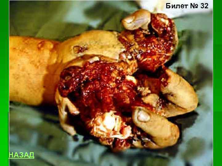 Билет № 32 НАЗАД 