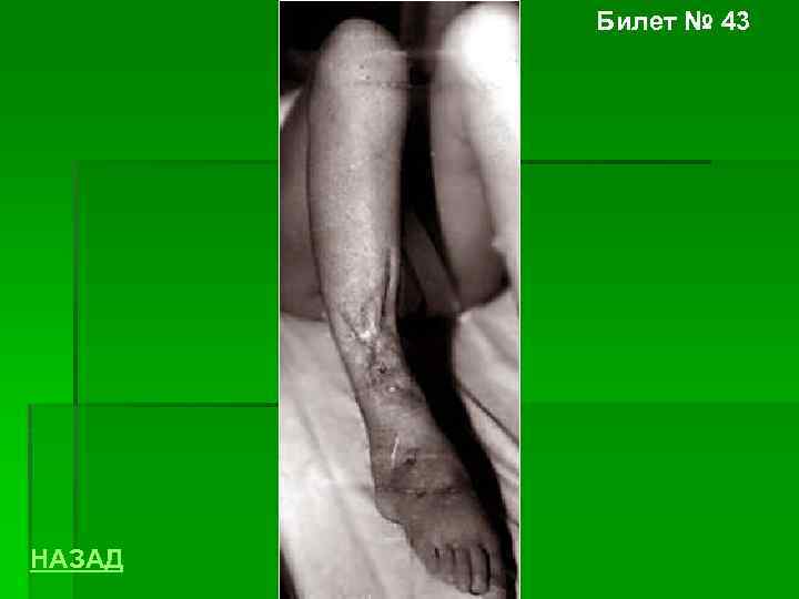 Билет № 43 НАЗАД 