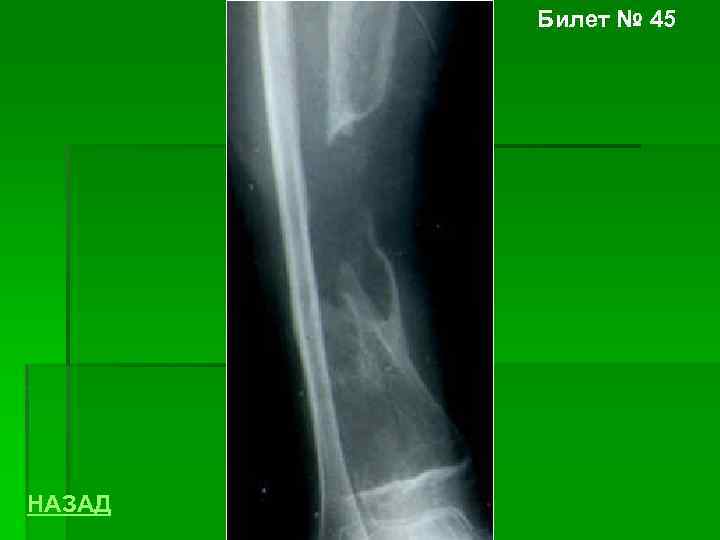 Билет № 45 НАЗАД 