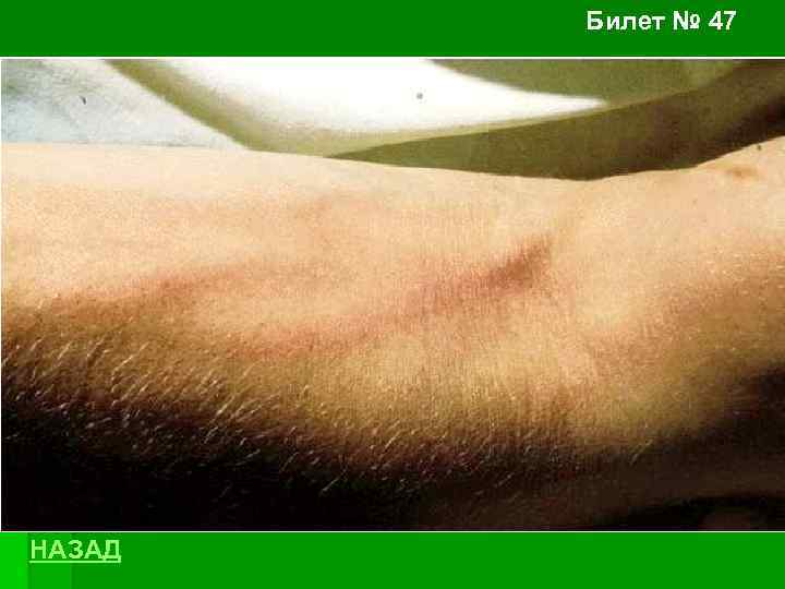Билет № 47 НАЗАД 