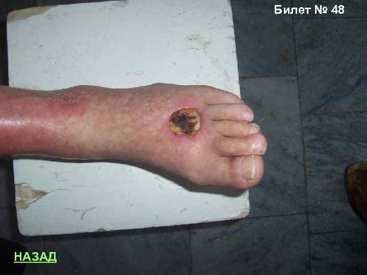 Билет № 48 НАЗАД 