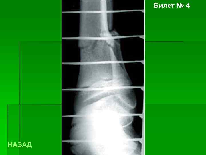 Билет № 4 НАЗАД 