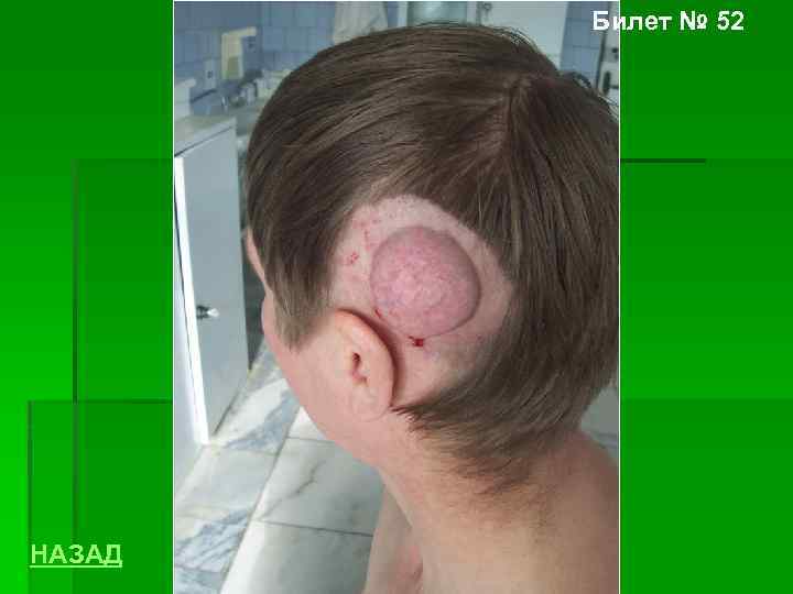 Билет № 52 НАЗАД 