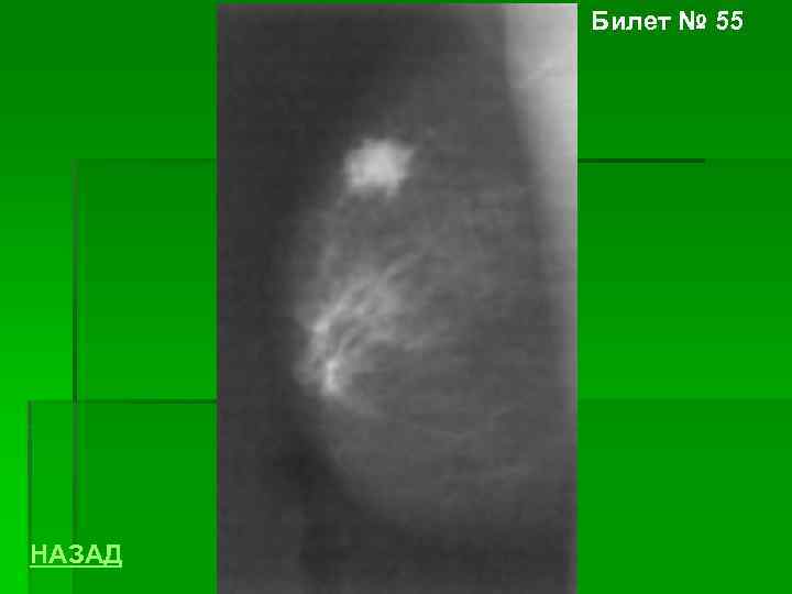 Билет № 55 НАЗАД 