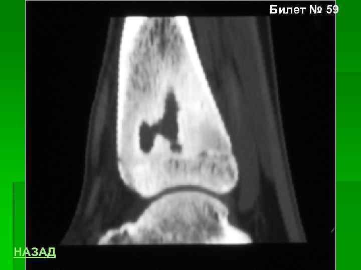 Билет № 59 НАЗАД 