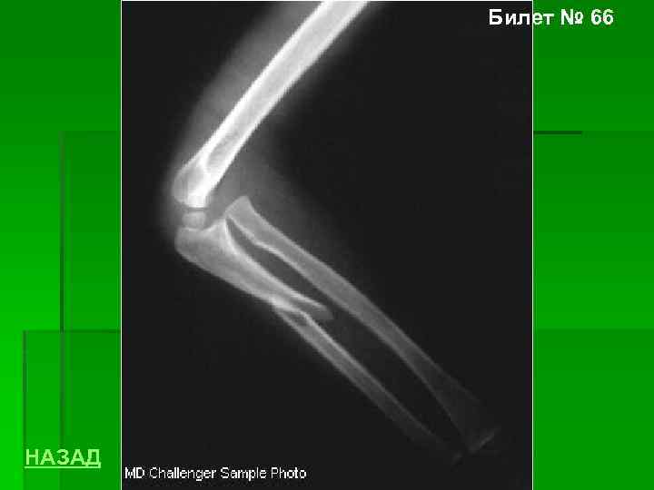 Билет № 66 НАЗАД 