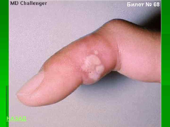 Билет № 68 НАЗАД 