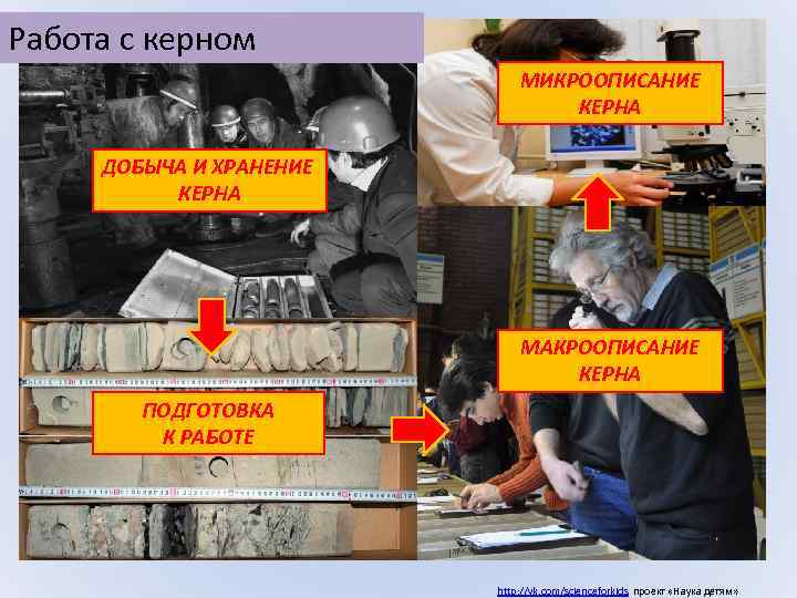 Работа с керном МИКРООПИСАНИЕ КЕРНА ДОБЫЧА И ХРАНЕНИЕ КЕРНА МАКРООПИСАНИЕ КЕРНА ПОДГОТОВКА К РАБОТЕ