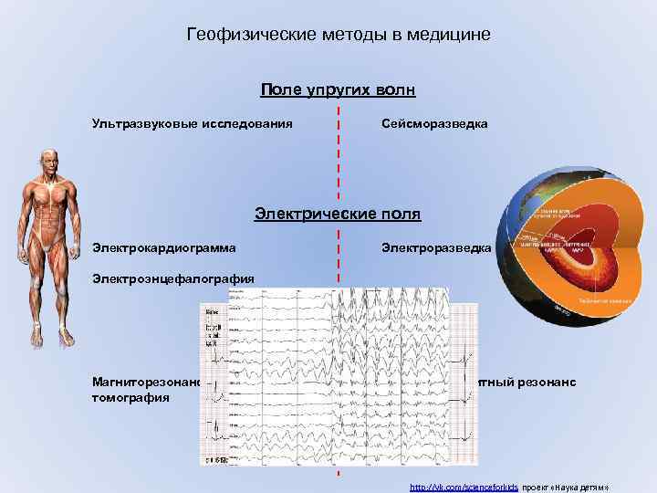 Геофизические методы в медицине Поле упругих волн Ультразвуковые исследования Сейсморазведка Электрические поля Электрокардиограмма Электроразведка