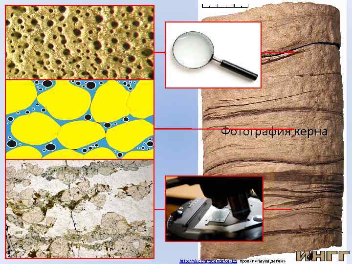 Фотография керна http: //vk. com/scienceforkids проект «Наука детям» 