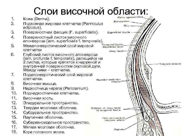 1. 2. 3. 4. 5. 6. 7. 8. 9. 10. 11. 12. 13. 14.