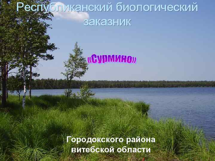 Республиканский биологический заказник Городокского района витебской области 