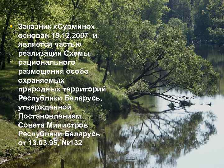 § Заказник «Сурмино» основан 19. 12. 2007 и является частью реализации Схемы рационального размещения