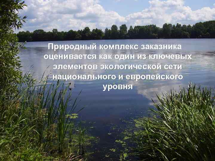 Природный комплекс заказника оценивается как один из ключевых элементов экологической сети национального и европейского