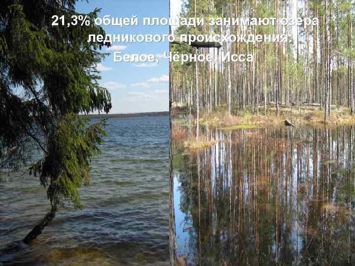 21, 3% общей площади занимают озера ледникового происхождения: Белое, Чёрное, Исса 