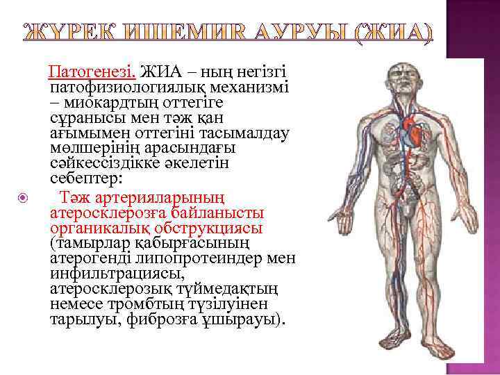  Патогенезі. ЖИА – ның негізгі патофизиологиялық механизмі – миокардтың оттегіге сұранысы мен тәж