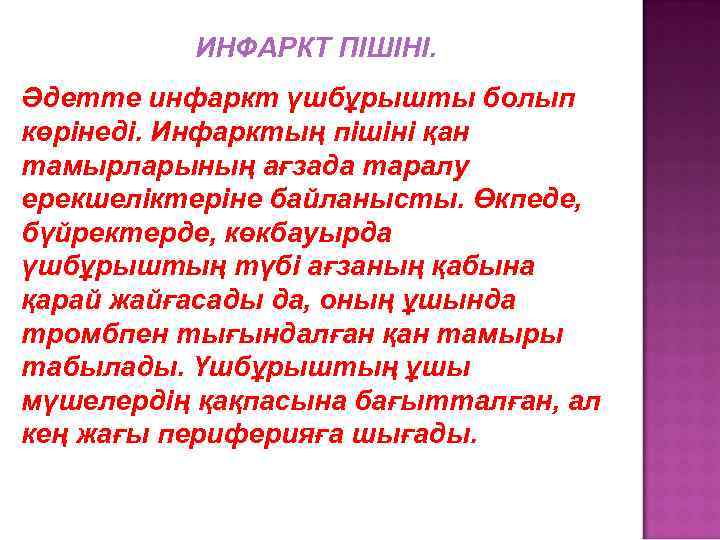 ИНФАРКТ ПІШІНІ. Әдетте инфаркт үшбұрышты болып көрінеді. Инфарктың пішіні қан тамырларының ағзада таралу ерекшеліктеріне