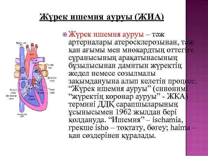 Стенокардия презентация казакша