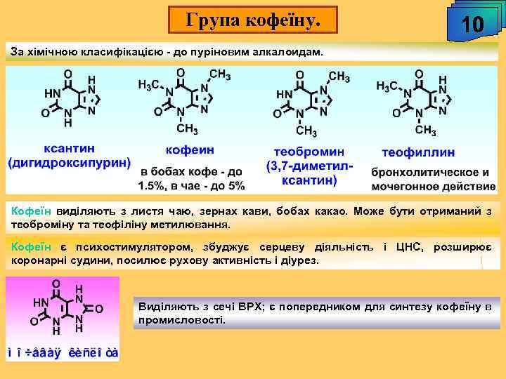 Група кофеїну. 10 За хімічною класифікацією - до пуріновим алкалоидам. Кофеїн виділяють з листя