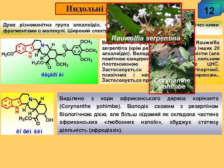 Индольні алкалоїди. 12 Дуже різноманітна група алкалоїдів, часто - з кількома азагетероціклічес-кими фрагментами в