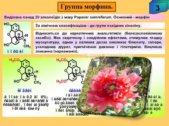 Группа морфина. 3 Виділено понад 20 алкалоїдів з маку Papaver somniferum. Основний - морфін