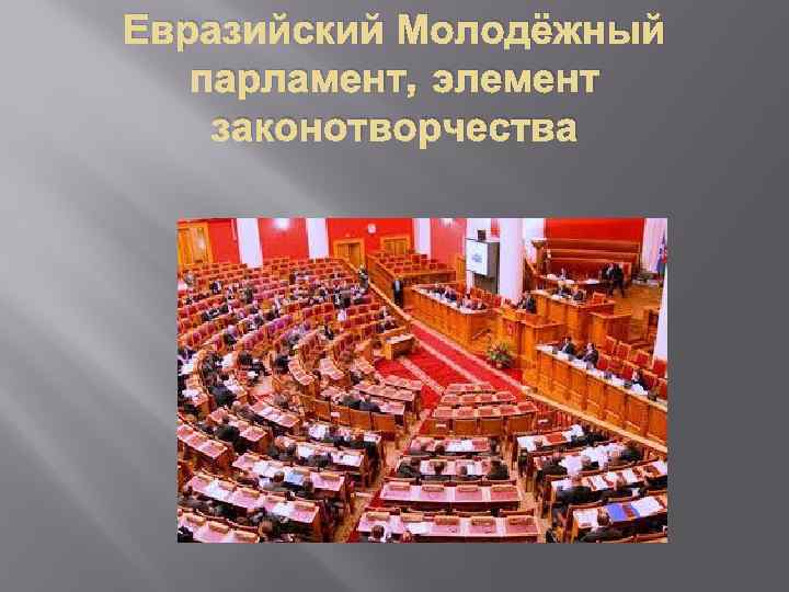 Евразийский Молодёжный парламент, элемент законотворчества 