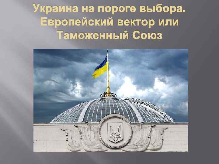 Украина на пороге выбора. Европейский вектор или Таможенный Союз 