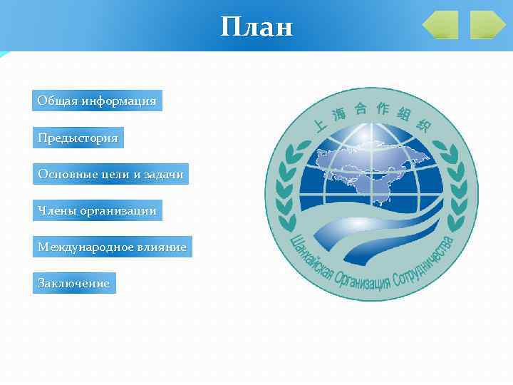 План Общая информация Предыстория Основные цели и задачи Члены организации Международное влияние Заключение 
