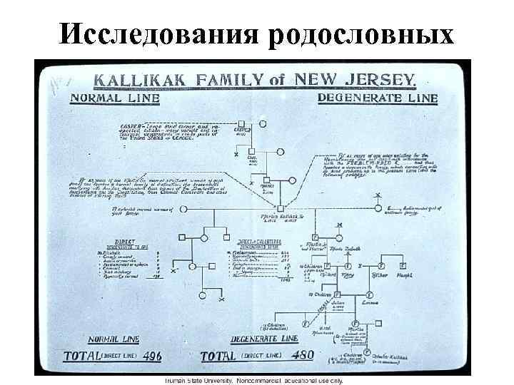 Исследования родословных 