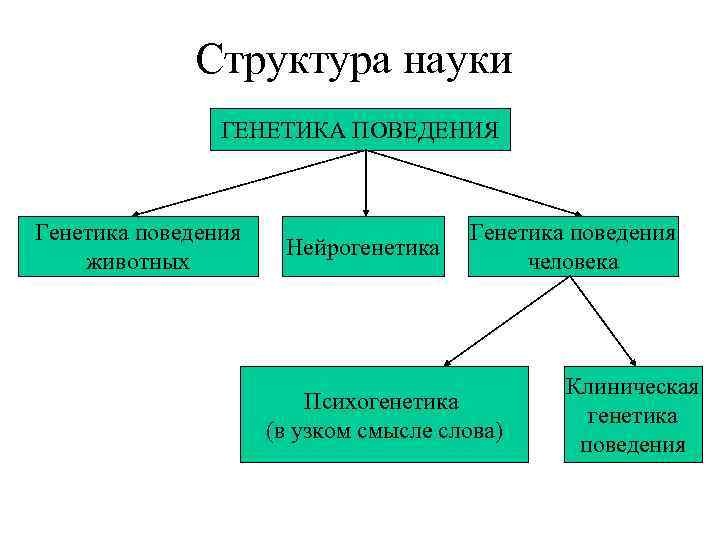 Генетика поведения презентация