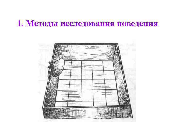  1. Методы исследования поведения 