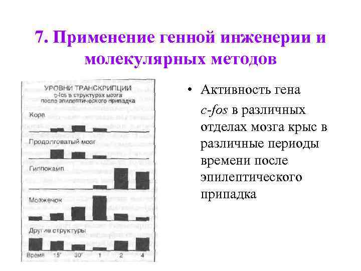 7. Применение генной инженерии и молекулярных методов • Активность гена c-fos в различных отделах