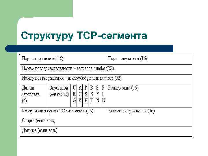 Структуру TCP-сегмента 