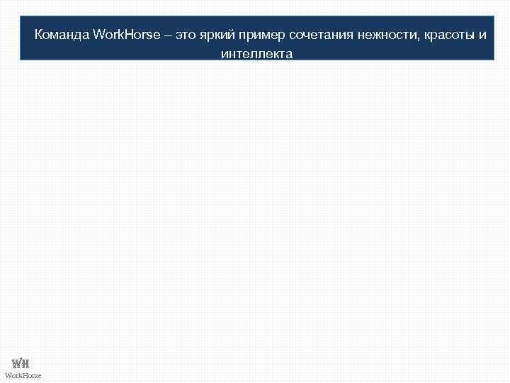 Команда Work. Horse – это яркий пример сочетания нежности, красоты и интеллекта WH Work.